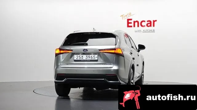 Lexus NX NX300h 2018 года - вид 4