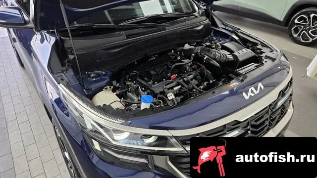 Kia Seltos The New Celtos 2023 года - вид 6