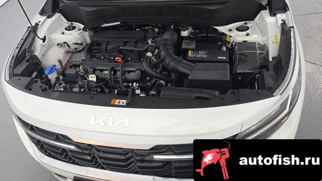 Kia Seltos The New Celtos 2025 года - вид 6