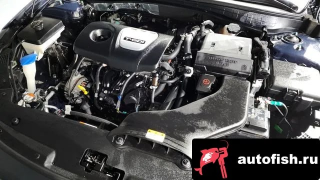 Kia K5 The New K5 2nd generation 2018 года - вид 6