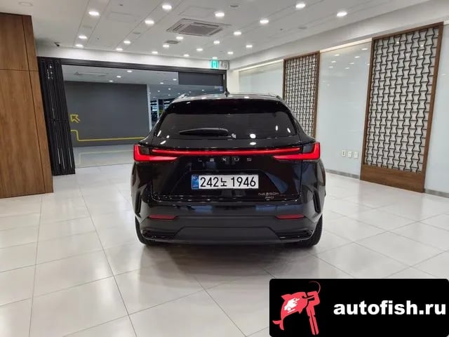 Lexus NX NX350h Second generation 2025 года - вид 4