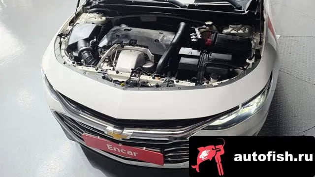 Chevrolet (GM Daewoo) Malibu The New Malibu 2019 года - похожие автомобили