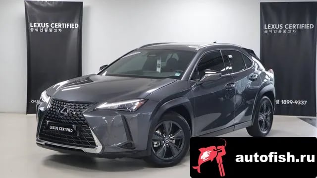 Lexus UX UX300h 2025 года - вид 1