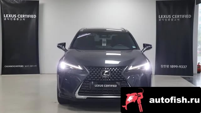 Lexus UX UX300h 2025 года - вид 3