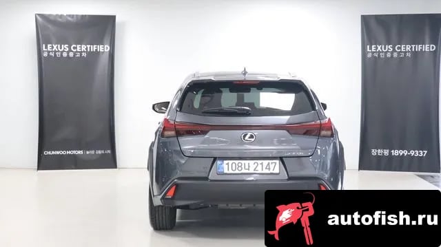 Lexus UX UX300h 2025 года - вид 4