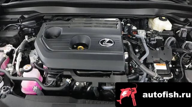 Lexus UX UX300h 2025 года - вид 6