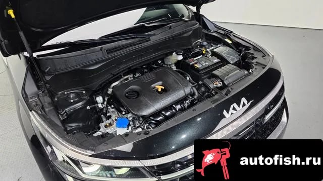 Kia Seltos The New Celtos 2024 года - вид 6