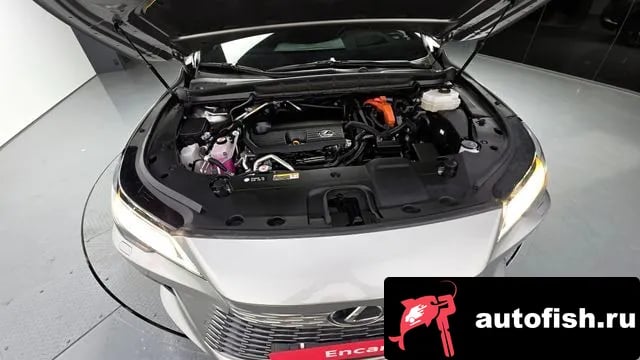 Lexus RX RX450h + 5th generation 2023 года - вид 6