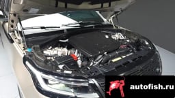 Миниатюра 6