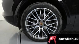 Миниатюра 5