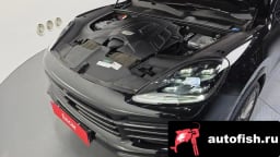 Миниатюра 6