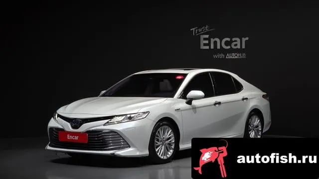 Toyota Camry Camry (XV70) 2019 года - вид 1