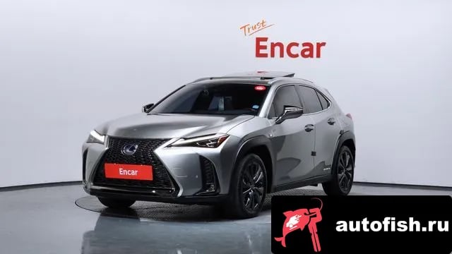 Lexus UX UX250h 2021 года - вид 1