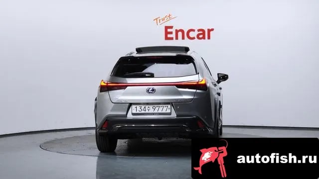 Lexus UX UX250h 2021 года - вид 4