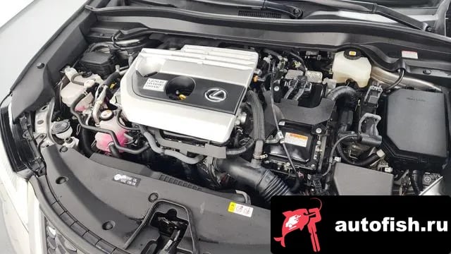 Lexus UX UX250h 2021 года - вид 6