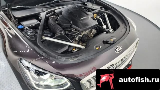 Kia K9 More K9 2018 года - вид 6