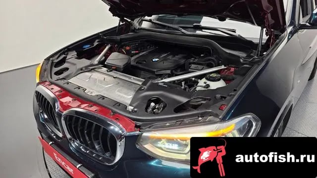 BMW X4 X4 (G02) 2019 года - вид 6