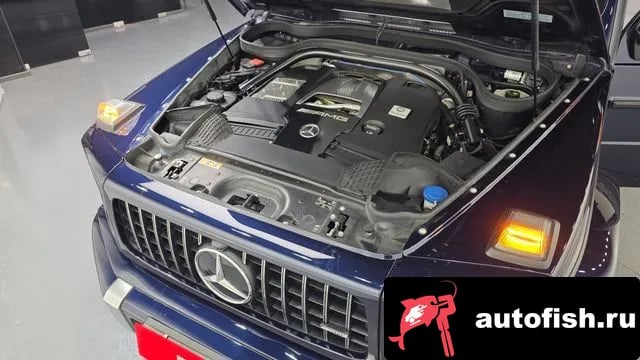 Mercedes-Benz G-Class G-Class W463b 2020 года - вид 6
