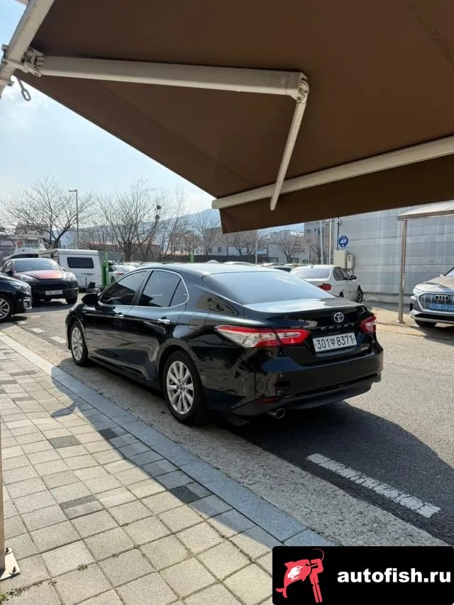 Toyota Camry Camry (XV70) 2019 года - вид 2