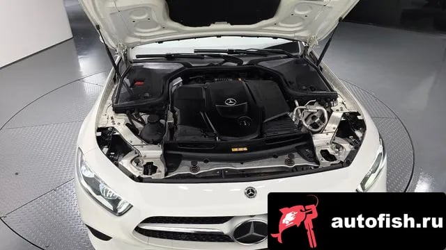 Mercedes-Benz CLS-Class CLS-Class C257 2019 года - вид 6
