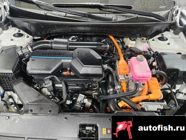Hyundai Tucson Tucson Hybrid (NX4) 2022 года - вид 6