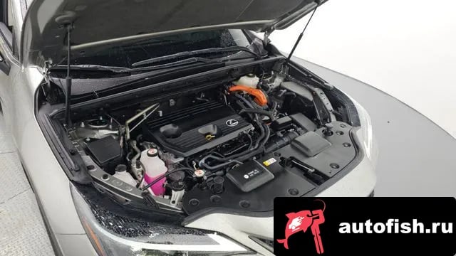 Lexus NX NX350h Second generation 2023 года - вид 6