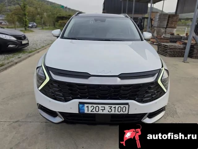 Kia Sportage Sportage 5th Generation 2023 года - вид 1