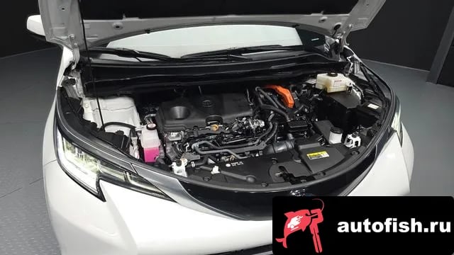 Toyota Sienna Siena 4th Generation 2024 года - вид 6