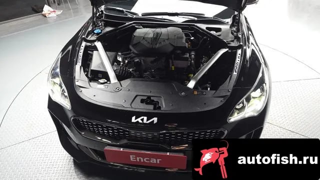 Kia Stinger Stinger Meister 2023 года - вид 6