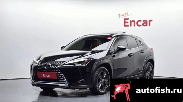 Lexus UX UX250h 2019 года - вид 1