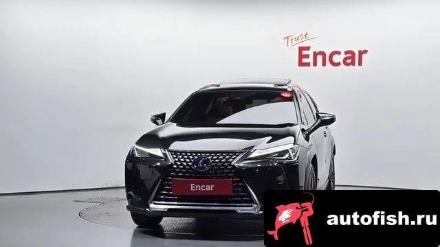 Lexus UX UX250h 2019 года - вид 3