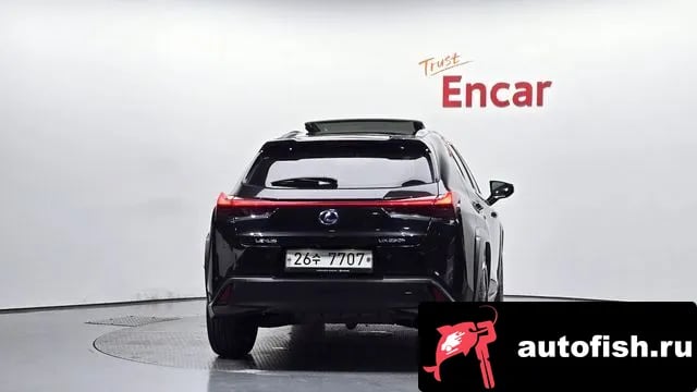 Lexus UX UX250h 2019 года - вид 4