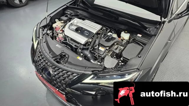 Lexus UX UX250h 2019 года - вид 6