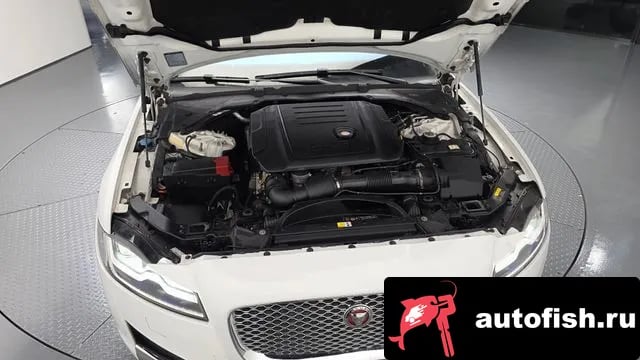 Jaguar XF XF (X260) 2018 года - вид 6