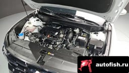 Миниатюра 6