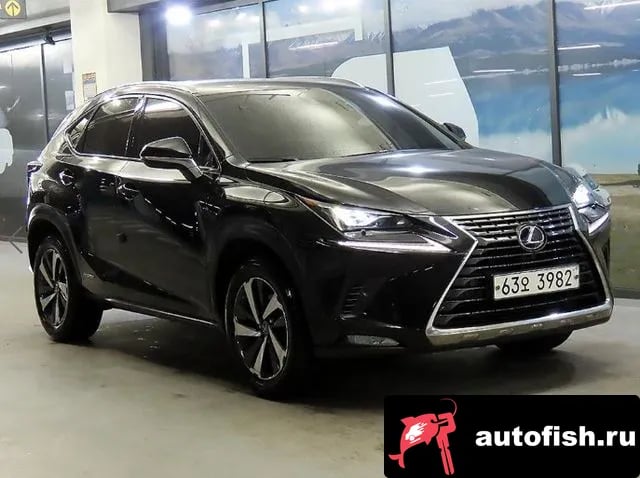 Lexus NX NX300h 2019 года - автомобиль из Южной Кореи