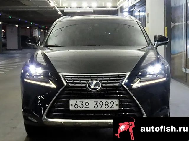 Lexus NX NX300h 2019 года - вид 2