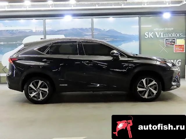 Lexus NX NX300h 2019 года - вид 3