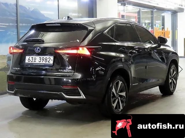 Lexus NX NX300h 2019 года - вид 4