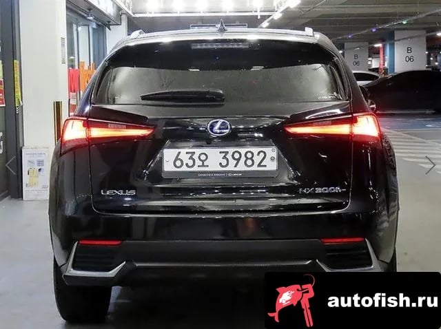 Lexus NX NX300h 2019 года - вид 5