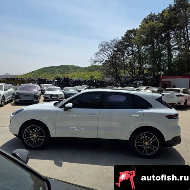 Porsche Cayenne Cayenne (PO536) 2023 года - вид 3