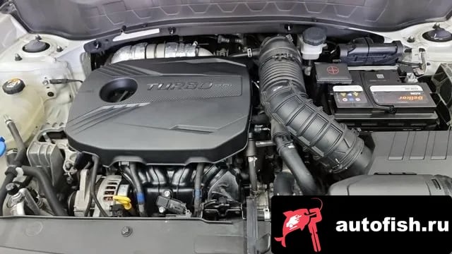 Kia Seltos Celtos 2019 года - вид 6