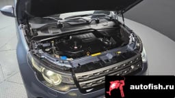 Миниатюра 6