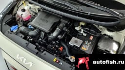 Миниатюра 6