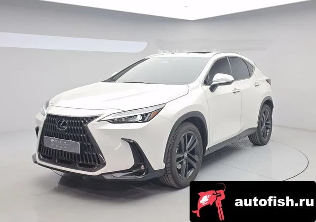 Lexus NX NX350h Second generation 2024 года - автомобиль из Южной Кореи