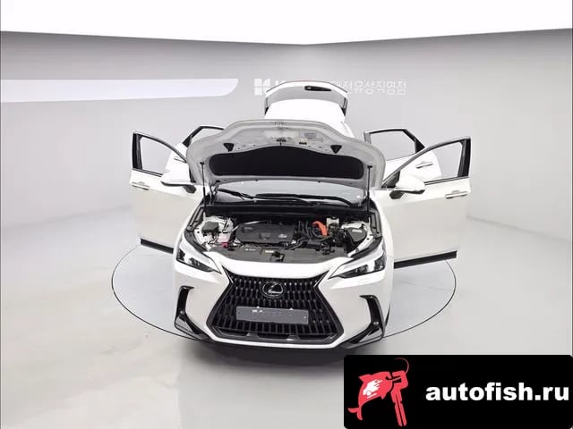 Lexus NX NX350h Second generation 2024 года - вид 2