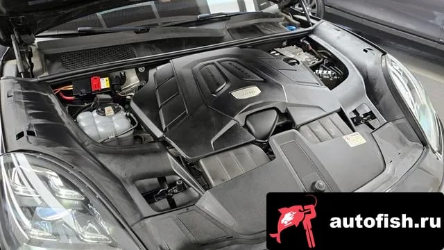 Porsche Cayenne Cayenne (PO536) 2019 года - вид 6