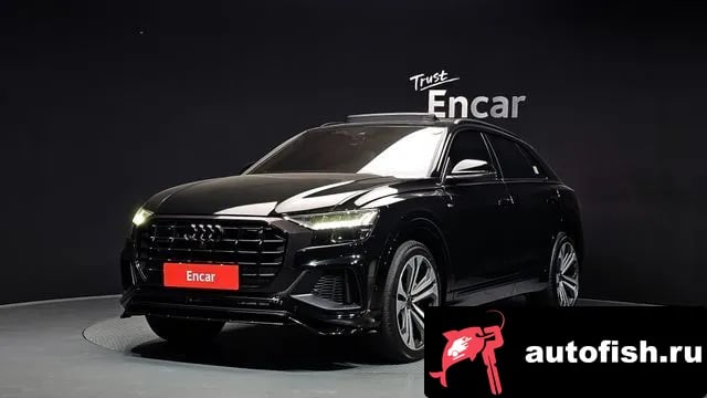 Audi Q8 Q8 (4M) 2023 года - вид 1