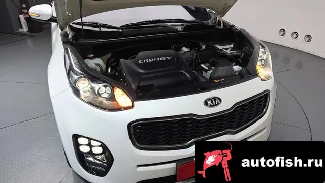 Kia Sportage Sportage 4th Generation 2018 года - вид 6