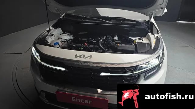 Kia Seltos The New Celtos 2024 года - вид 6